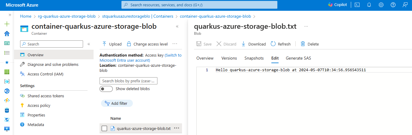 Azure Portal showing the content of the file uploaded with the BlobServiceClient object