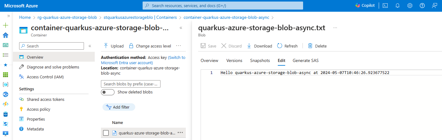 Azure Portal showing the content of the file uploaded with the BlobServiceAsyncClient object